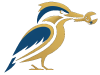 kingfisher logo transparent v2